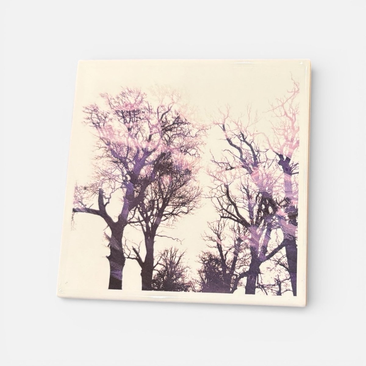 Ceramic Tile Coster with Tree Design - 830 Degrees_Just Makers