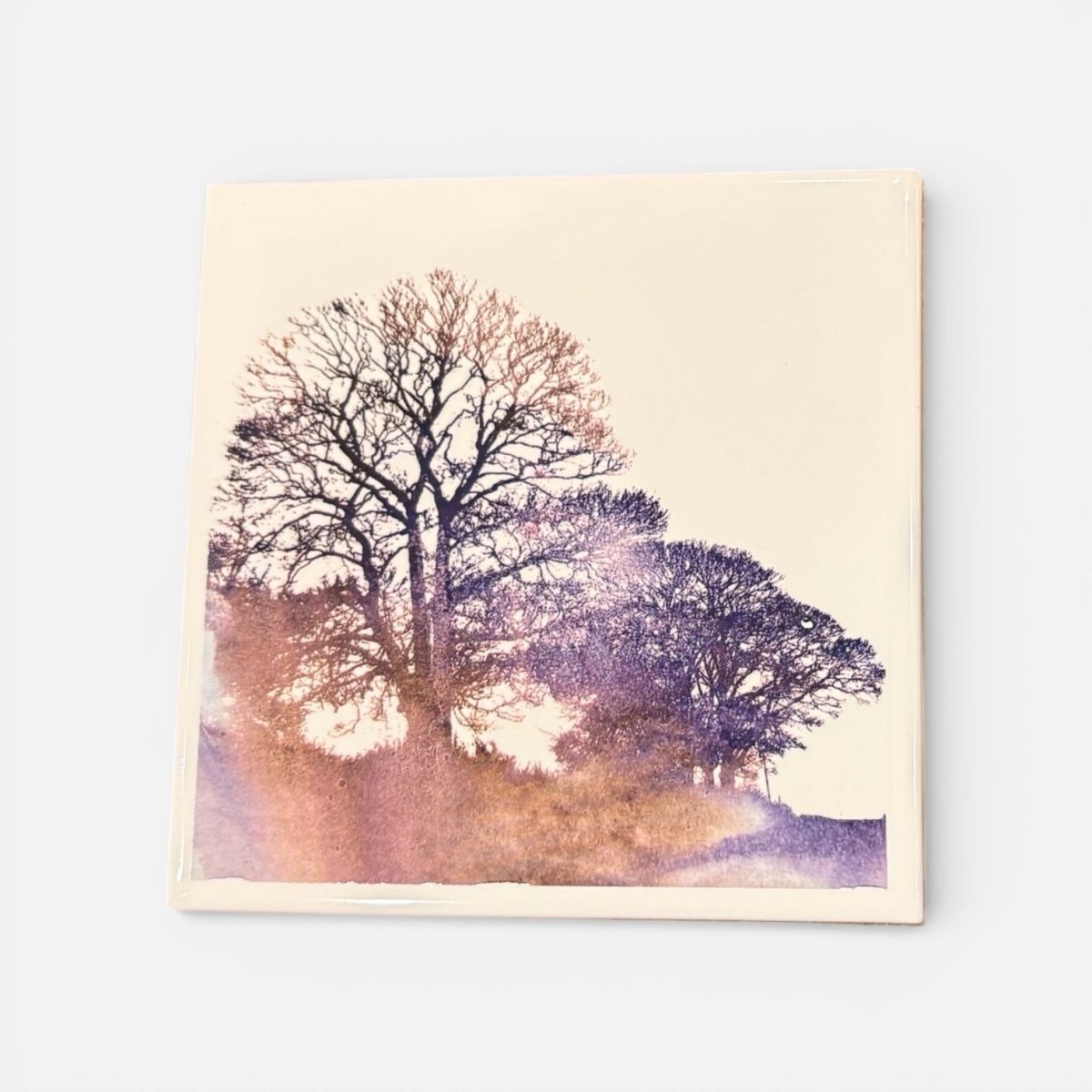 Ceramic Tile Coster with Tree Design - 830 Degrees_Just Makers