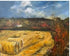 Cornfields - Jeanne Mundy - Just Makers Jeanne Mundy