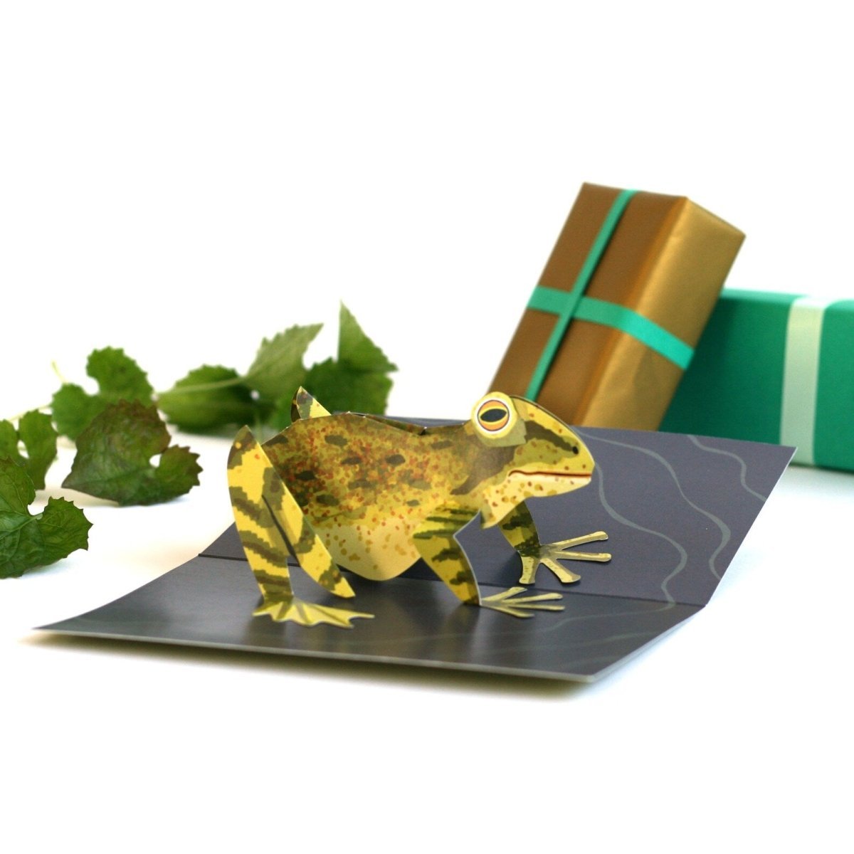 Frog Pop - Up 3D Card - Just Makers Faye Stevens - Merryday Studio