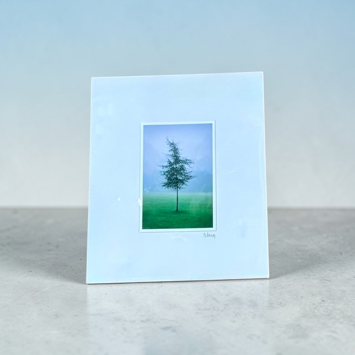 Green and Blue, Valley Gardens Mounted Photograph - Steve Oxley_Just Makers