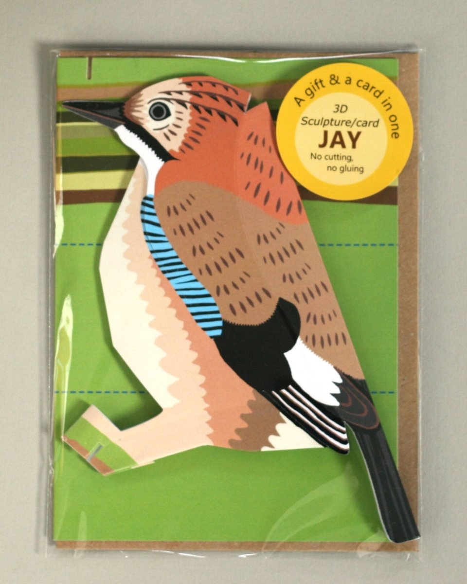 Jay Pop - Up 3D Card & Decoration - Just Makers Faye Stevens - Merryday Studio