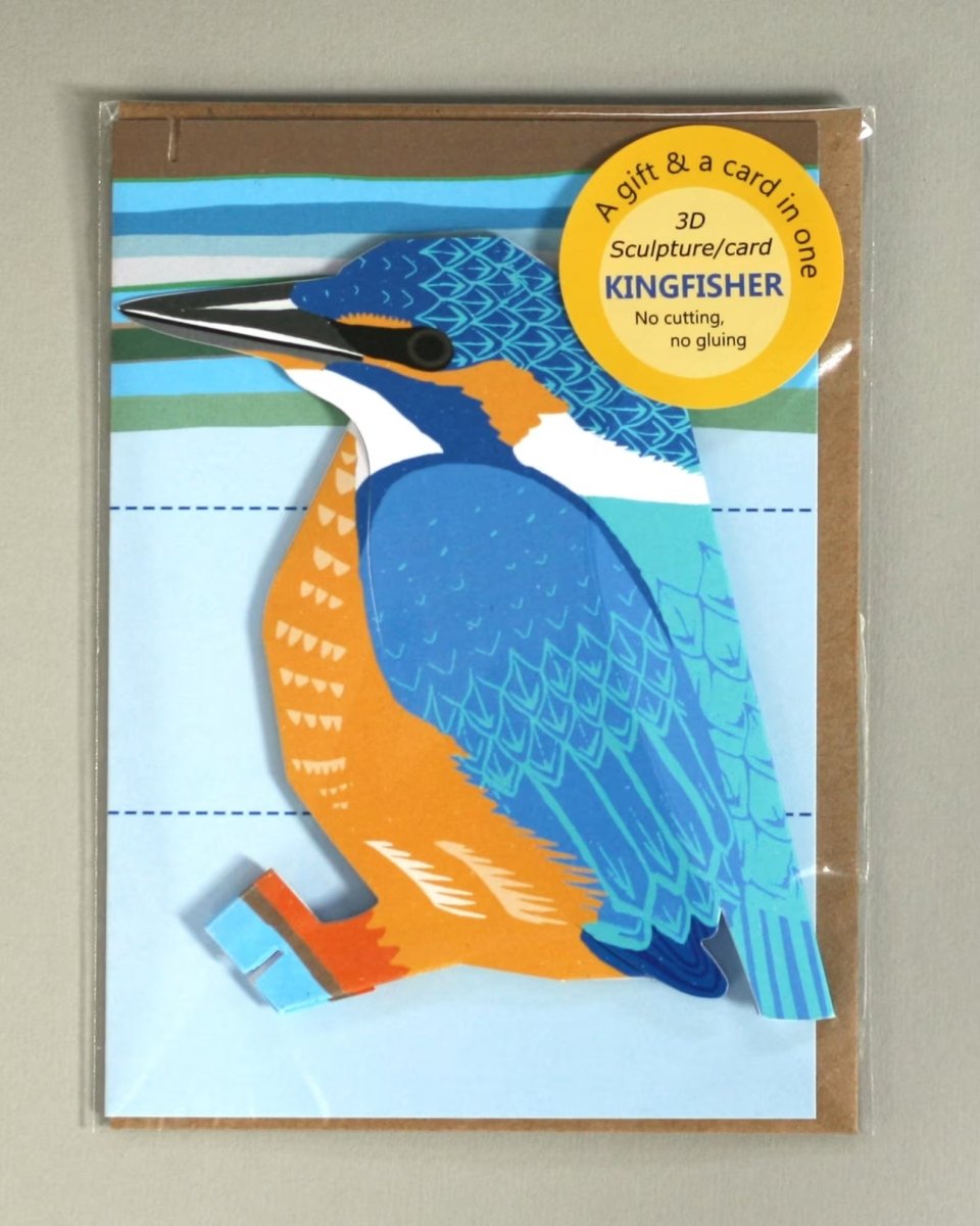 Kingfisher Pop - Up 3D Card & Decoration - Just Makers Faye Stevens - Merryday Studio