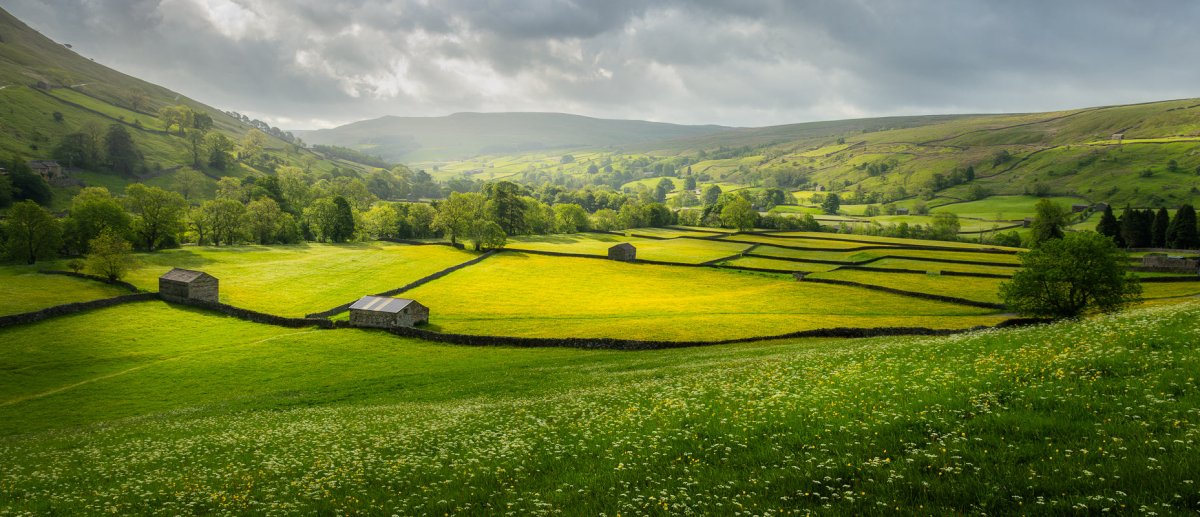 Muker Flower Meadows Framed Photograph - Steve Oxley_Just Makers