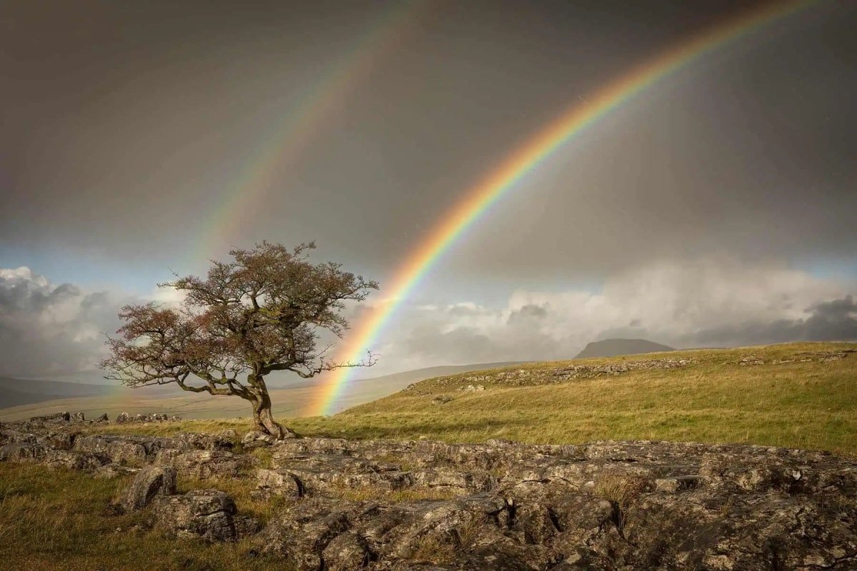 Rainbow over Winskill Stones Photograph - Paula Beaumont Adventures_Just Makers