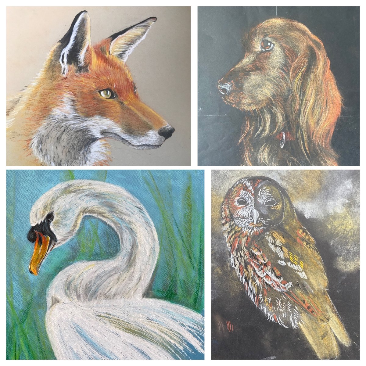 A 2x2 collage of animal paintings: a fox in profile, a long-haired brown dog, a white swan with a yellow beak, and an owl with mottled brown, gray, and cream feathers.