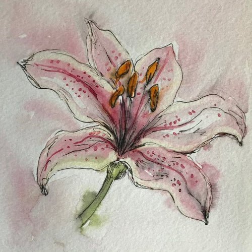 Watercolour Flowers Workshop with Jo Hunter 29th June - Just Makers Just Makers