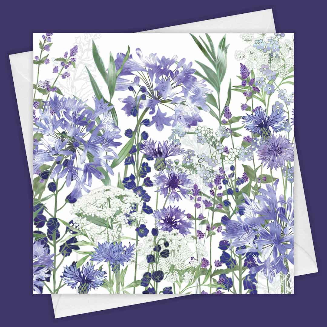 Agapanthus Meanderings Greeting Card - Fiona Calder_Just Makers