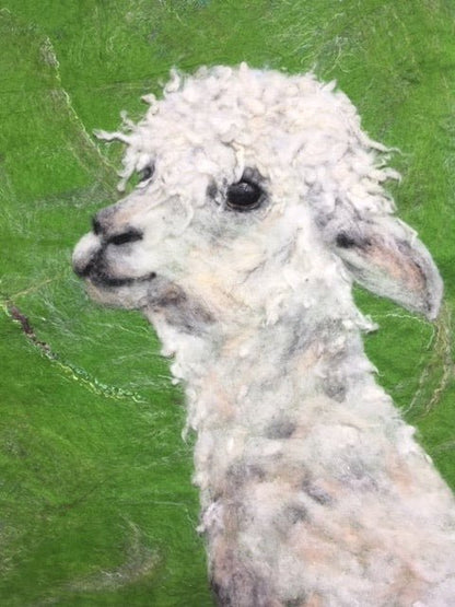 Alpaca Greeting Card - Pam Chilton - Just Makers Pam Chilton