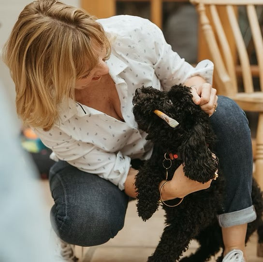 A woman crouches down indoors while holding a small black curly-haired dog that has a small white item in its mouth. She is wearing a white blouse with small dark motifs and dark blue jeans.