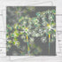 Apiaceae Greeting Card - Fiona Calder_Just Makers
