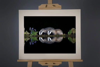 Badgers Photograph - Paula Beaumont Adventures - Just Makers Paula Beaumont Adventures