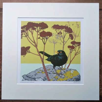 Blackbird and Sedum Seedheads Print (small) - Umbellifer - Just Makers Umbellifer