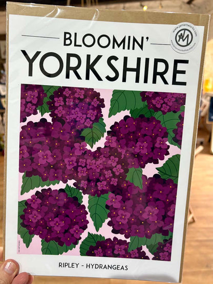 Bloomin Yorkshire Ripley Hydrangeas Print - JAM Artworks_Just Makers