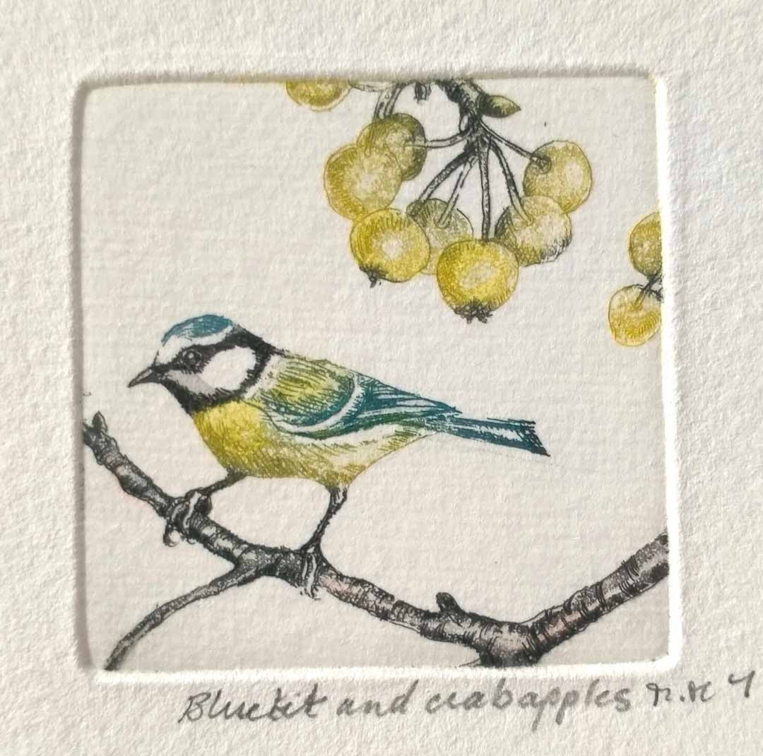 Bluetit and Crab Apples Etching - Moira Mctague_Just Makers
