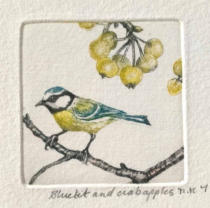 Bluetit and Crab Apples Etching - Moira Mctague_Just Makers