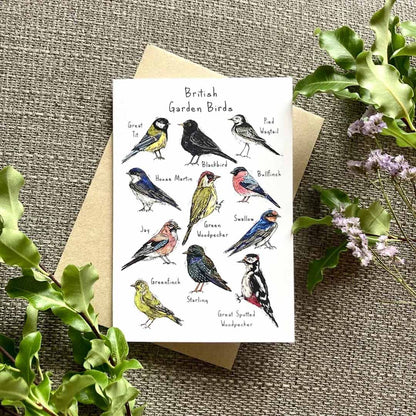 British Garden Birds 2 Greeting Card - HD Designs_Just Makers