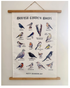 British Garden Birds Tea Towel - Matty Burnham_Just Makers