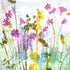 Campions Greeting Card - Gill Kirk_Just Makers