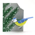 Christmas Blue-Tit Pop-Up 3D Card & Decoration_Just Makers