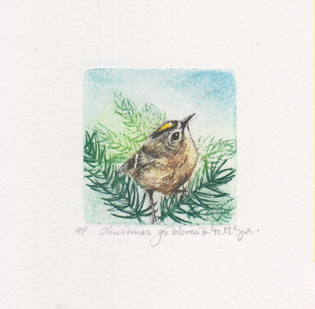 Christmas Goldcrest Etching - Moira Mctague_Just Makers