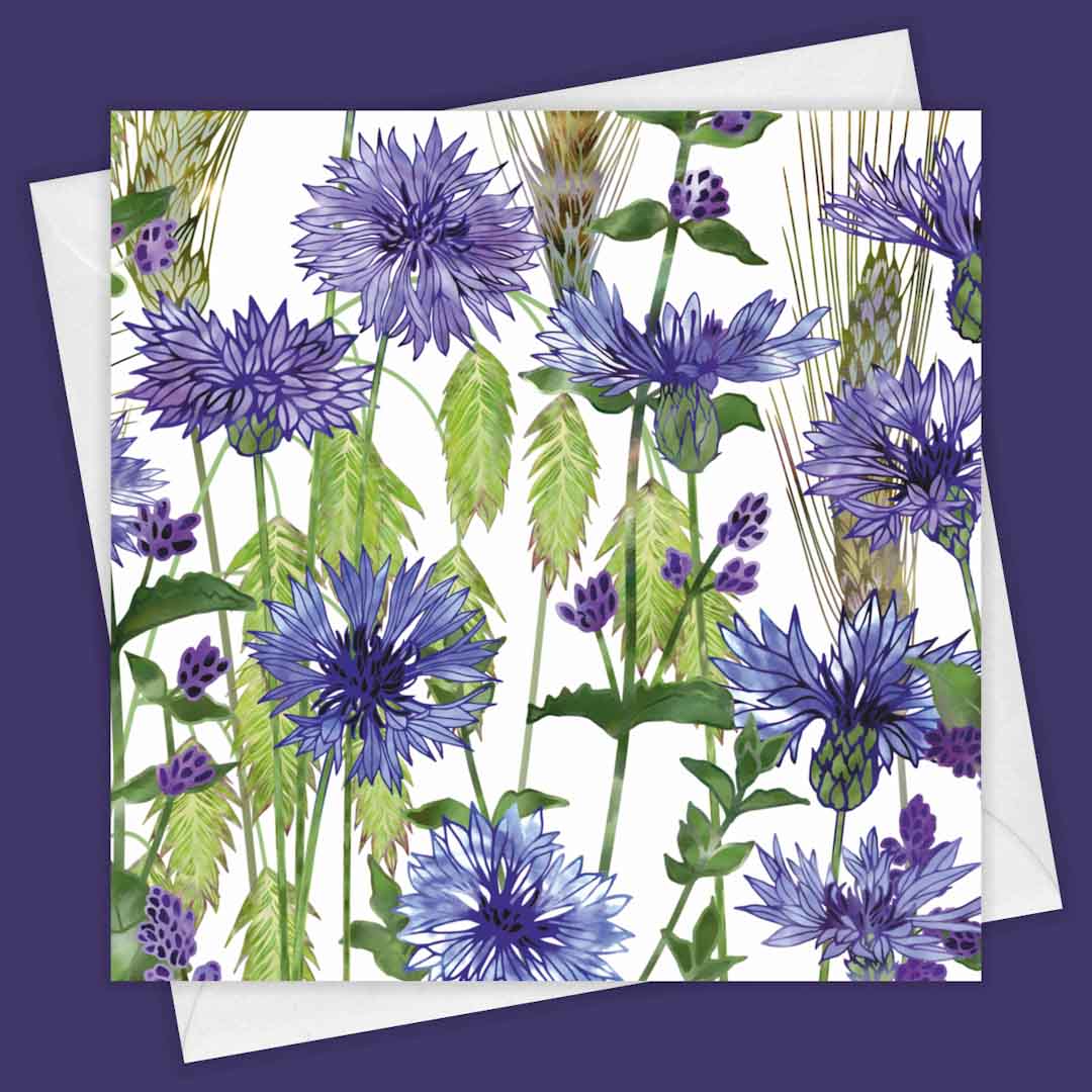Cornflowers Greeting Card - Fiona Calder_Just Makers