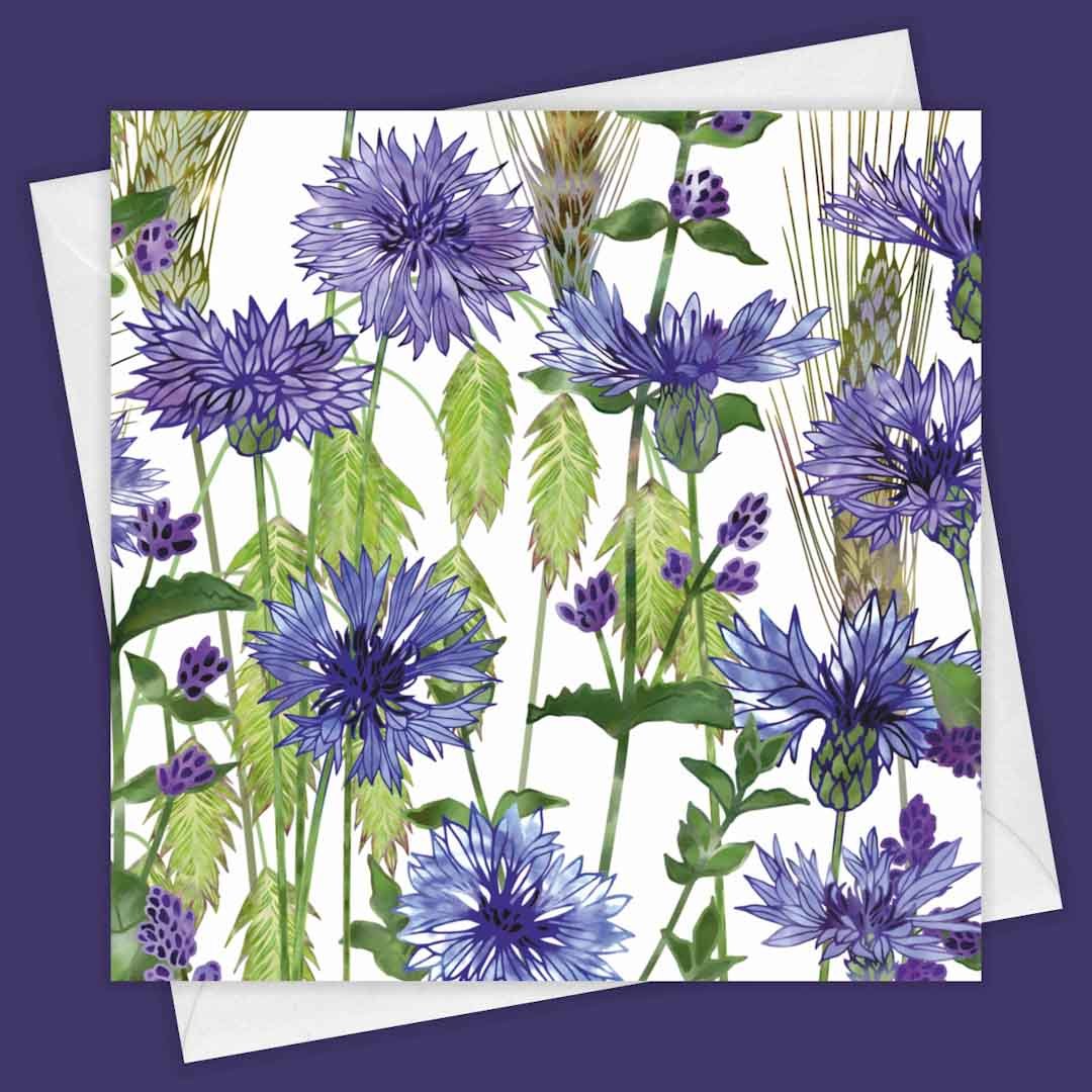Cornflowers Greeting Card - Fiona Calder - Just Makers Fiona Calder Designs