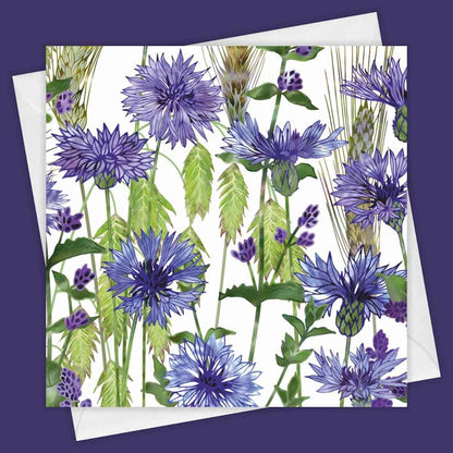 Cornflowers Greeting Card - Fiona Calder - Just Makers Fiona Calder Designs