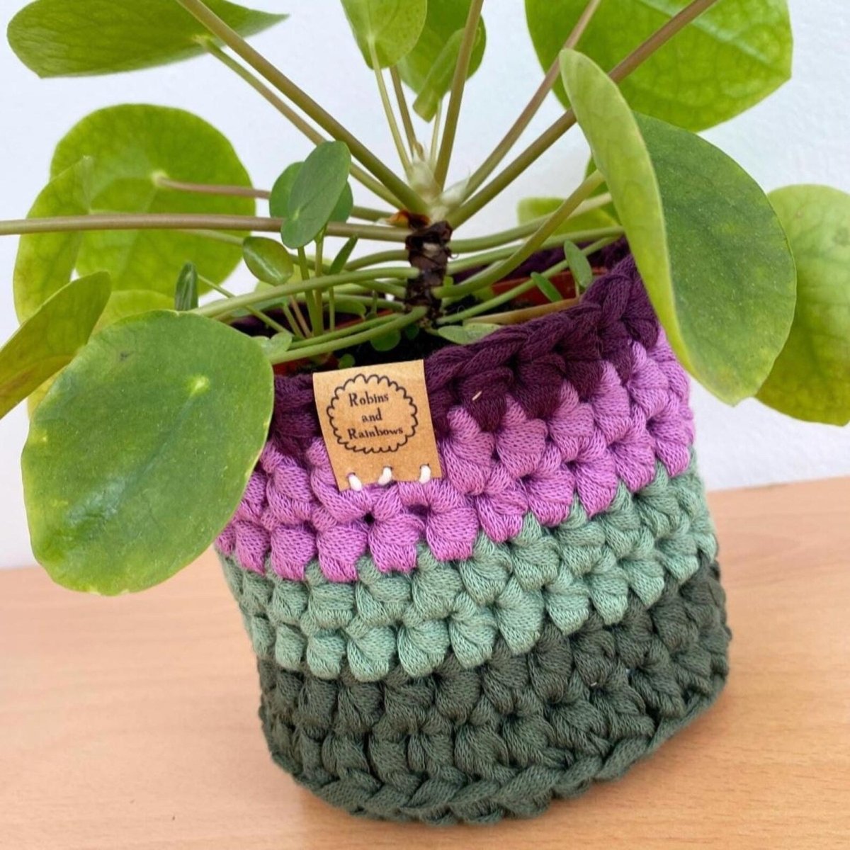 Crocheted Plant Pot Cover - Robins and Rainbows - Just Makers Robins and Rainbows