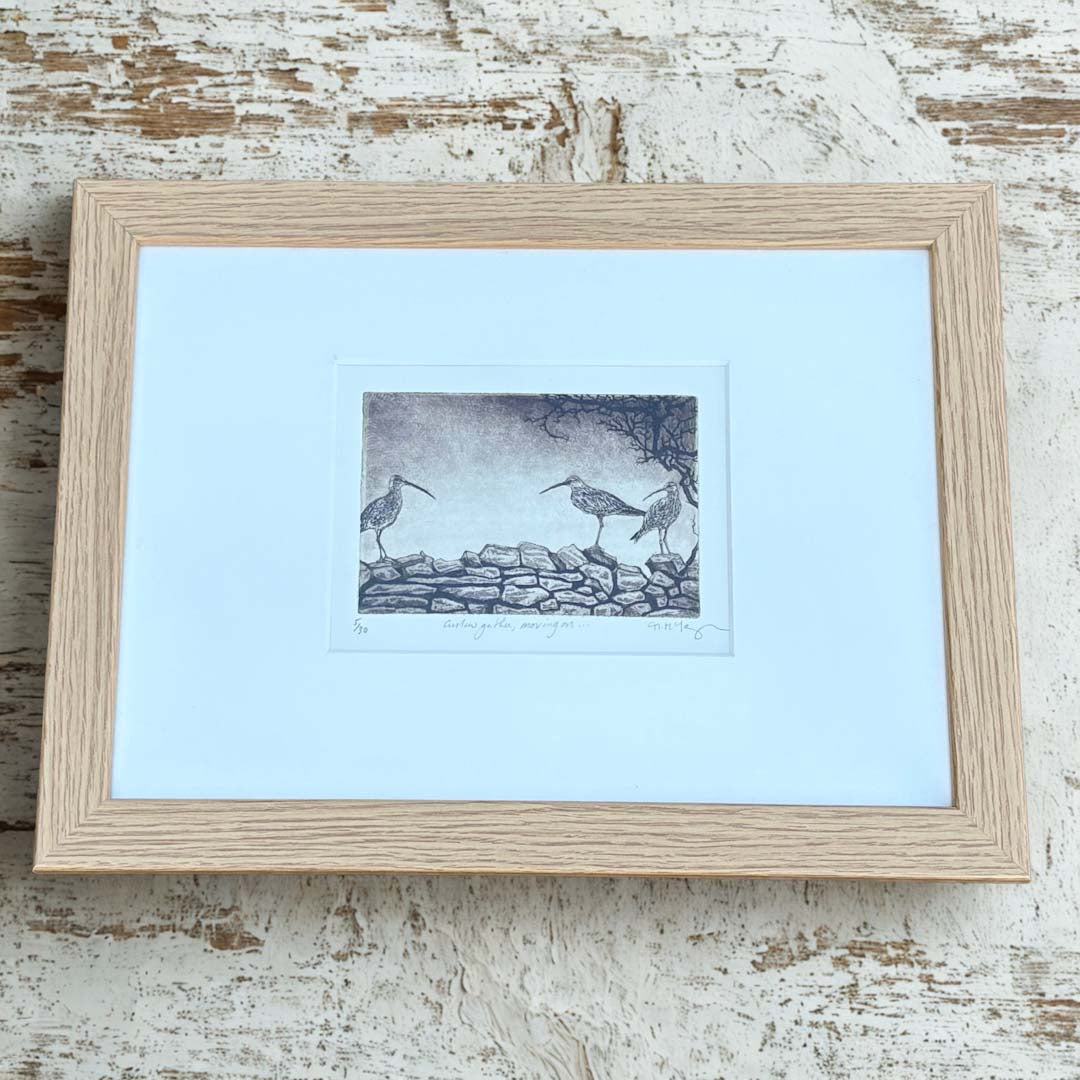 Curlews Gather, Moving On Original Framed Etching - Moira McTague_Just Makers