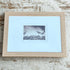 Curlews Gather, Moving On Original Framed Etching - Moira McTague_Just Makers
