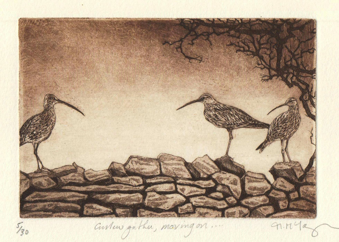 Curlews Gather, Moving On Original Framed Etching - Moira McTague_Just Makers