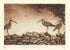Curlews Gather, Moving On Original Framed Etching - Moira McTague_Just Makers