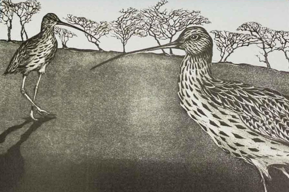 Two birds on a landscape with trees in the background, on a blue card_Curlews Return Greeting Card_Moira McTague_Just Makers