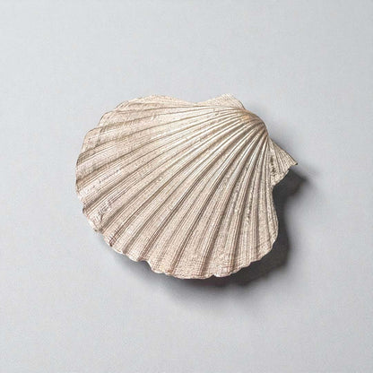 Dark Green Leaves Large Shell Back - Sarah Tustin_Just Makers