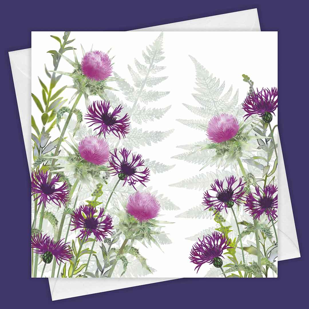 Dawn Thistle Ramble Greeting Card - Fiona Calder_Just Makers