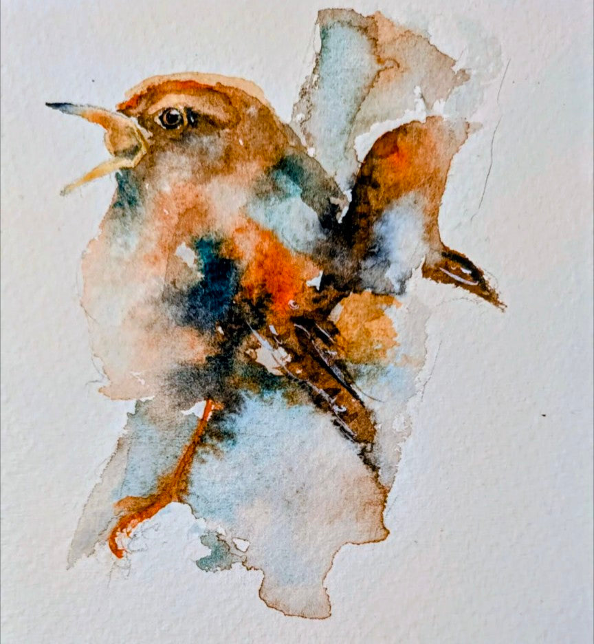 Expressive Birds in Watercolour Workshop with Tim Gomersall_Just Makers