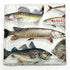 Fish Coaster Slate - Sarah Tustin_Just Makers