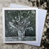 Flower Vase Greeting Card - Gill Kirk_Just Makers