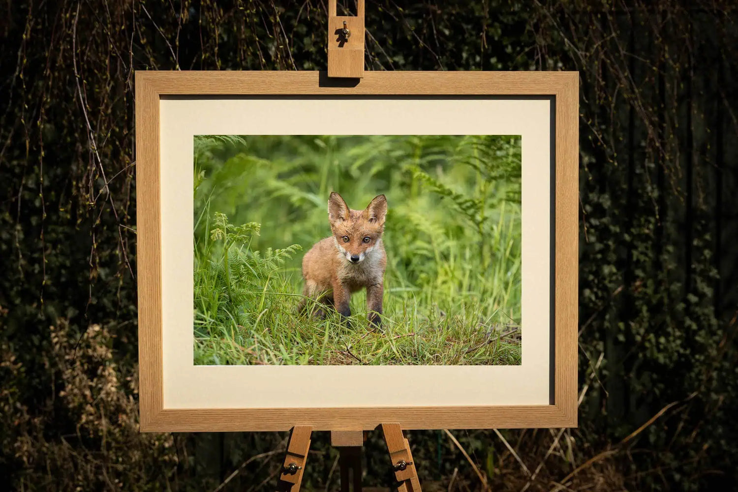 Fox Cub Photograph - Paula Beaumont Adventures_Just Makers