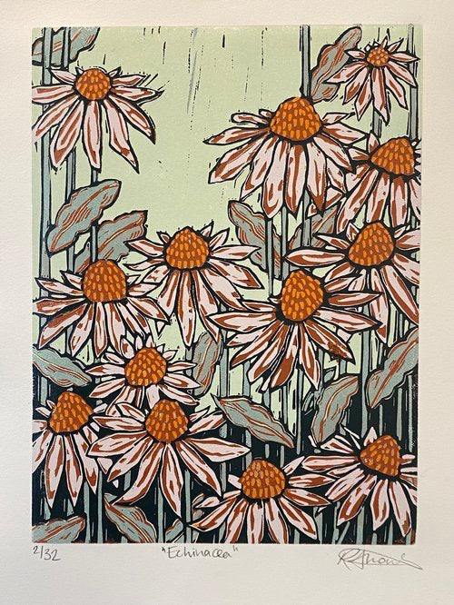Framed Echinacea Linocut Print - Rachel Knowles_Just Makers