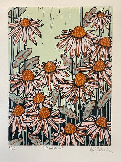 Framed Echinacea Linocut Print - Rachel Knowles_Just Makers