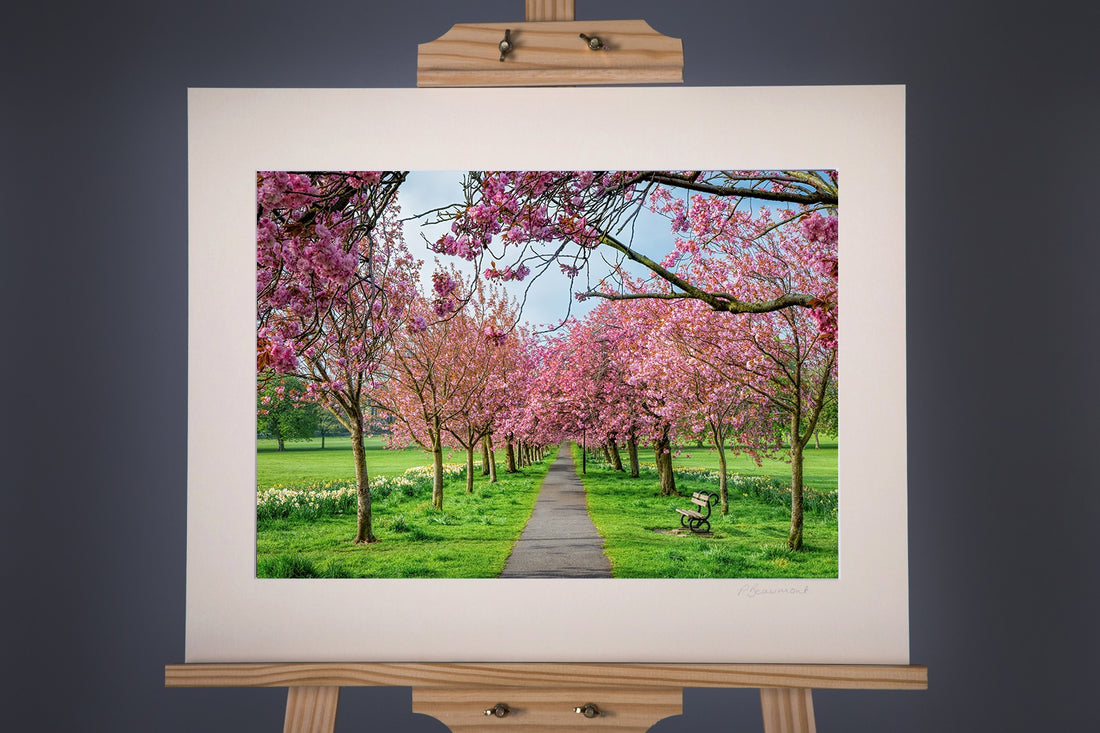 Framed Harrogate Stray Photograph - Paula Beaumont Adventures_Just Makers