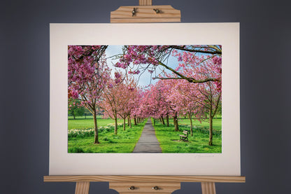 Framed Harrogate Stray Photograph - Paula Beaumont Adventures_Just Makers