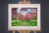 Framed Harrogate Stray Photograph - Paula Beaumont Adventures_Just Makers