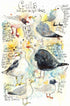 Gulls and How To Spot Them Giclee Print - Tim Gomersall Art_Just Makers