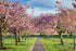 Harrogate Stray Photograph - Paula Beaumont Adventures_Just Makers