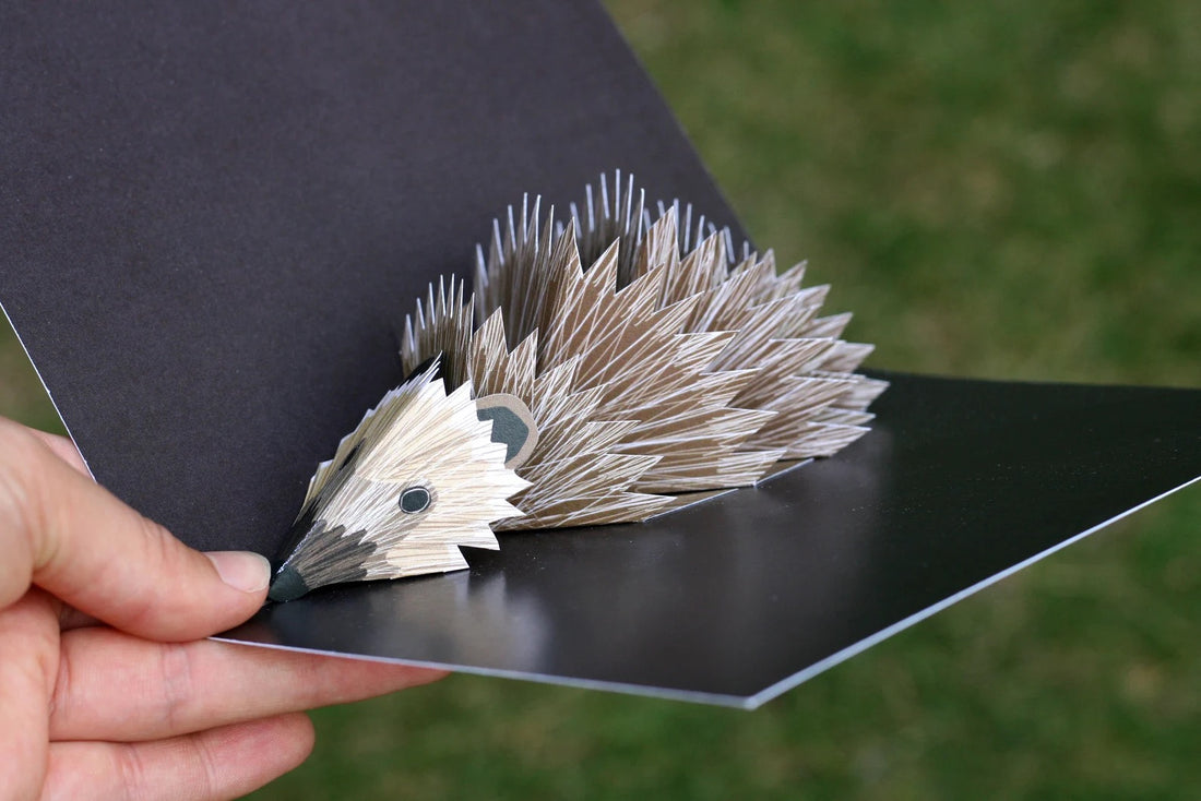Hedgehog Pop-Up 3D Card_Just Makers