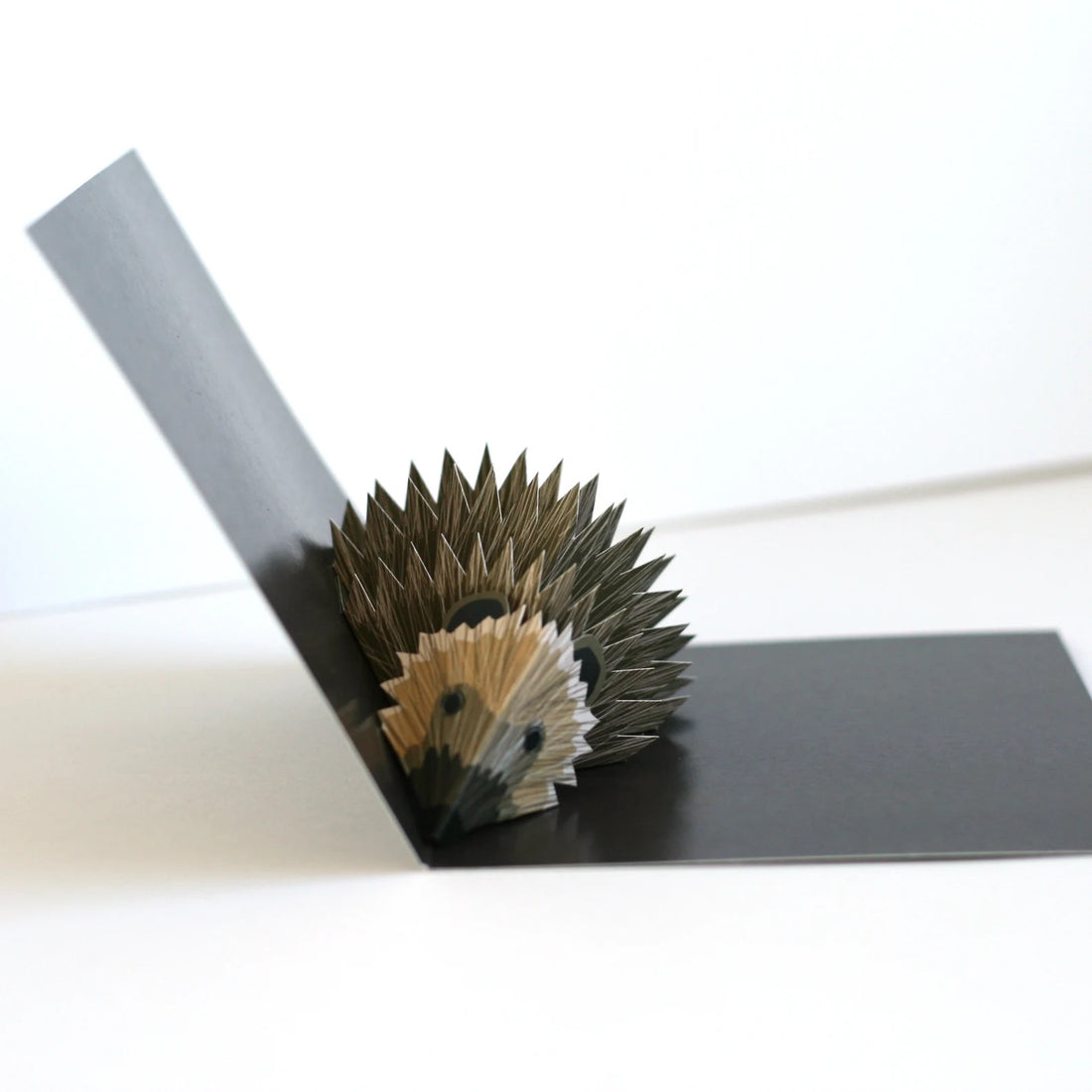 Hedgehog Pop-Up 3D Card_Just Makers