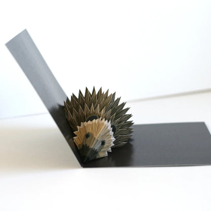Hedgehog Pop-Up 3D Card_Just Makers